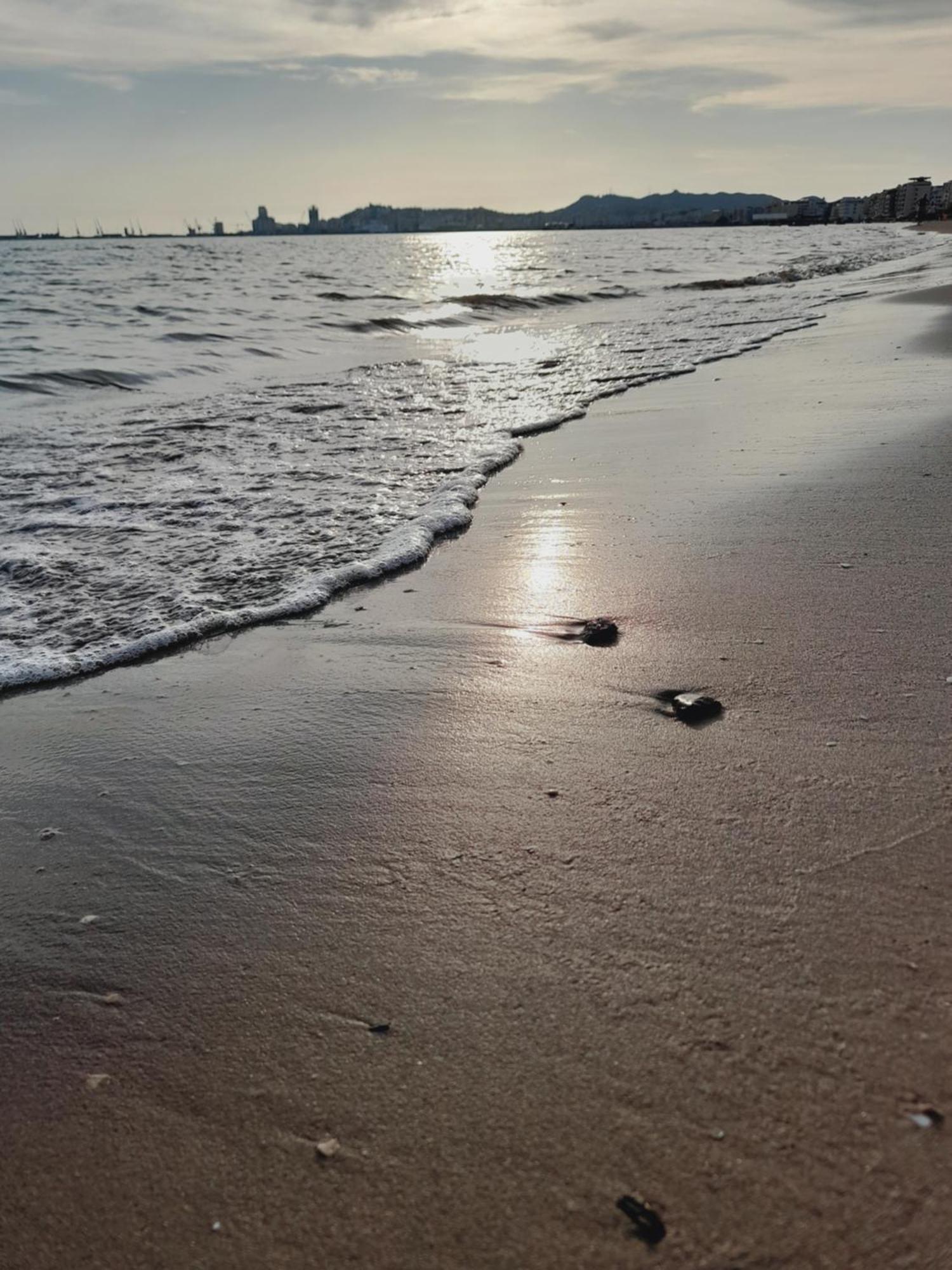 Seaside Deluxe Apartment Durres Bagian luar foto